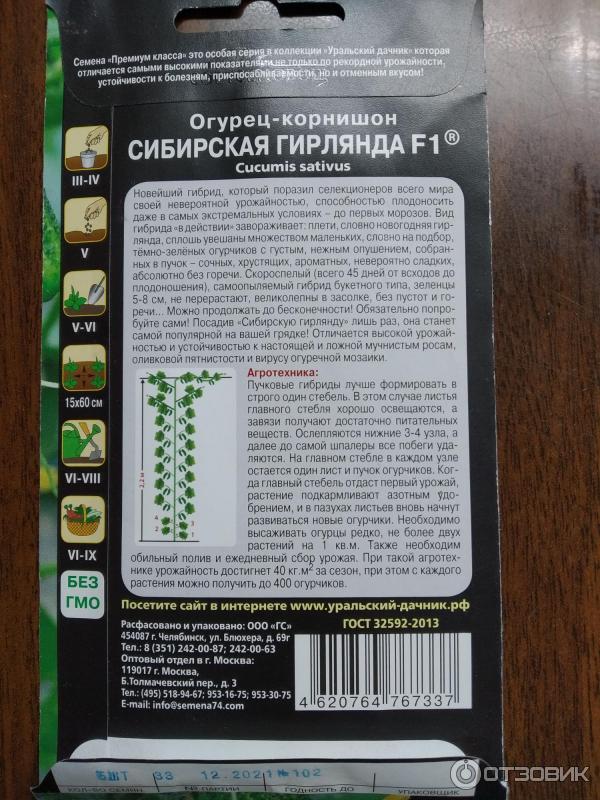 Отзыв о Семена огурцов Уральский дачник "Сибирская Гирлянда" | Вкусные ...