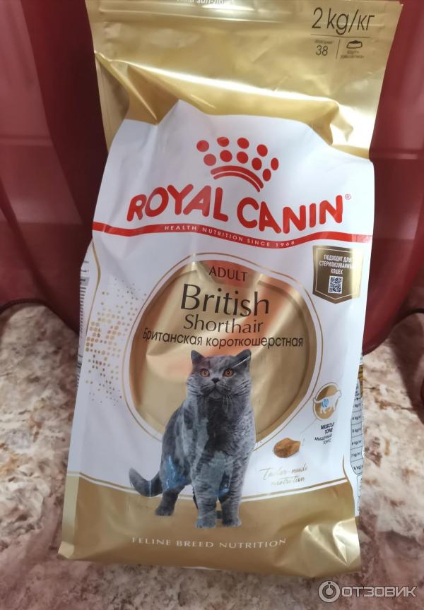 Сухой корм для кошек Royal Canin Persian фото