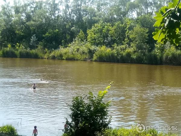 Река медведица волгоградская область фото