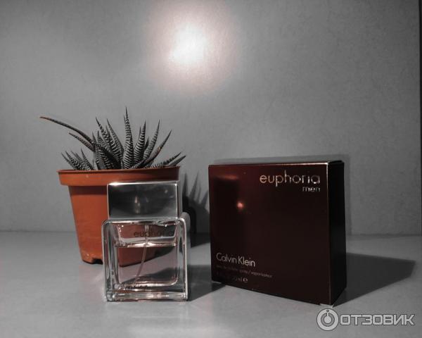 Туалетная вода Calvin Klein Euphoria Men фото