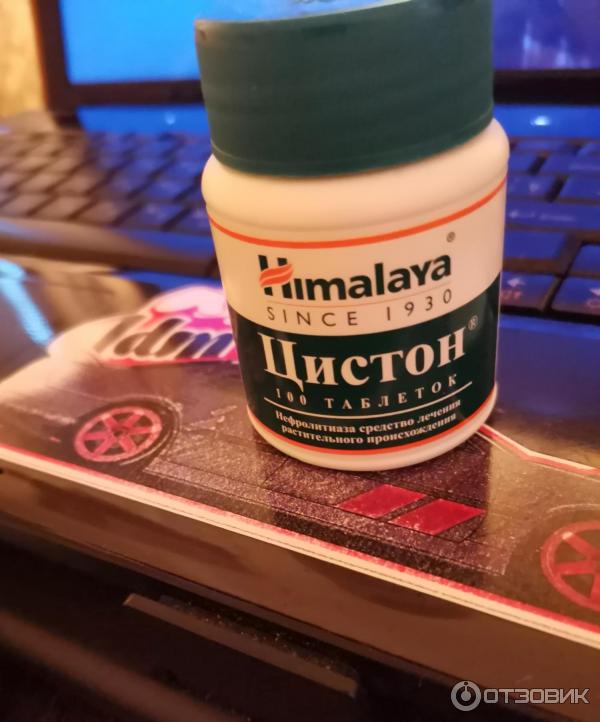Цистон для кошек