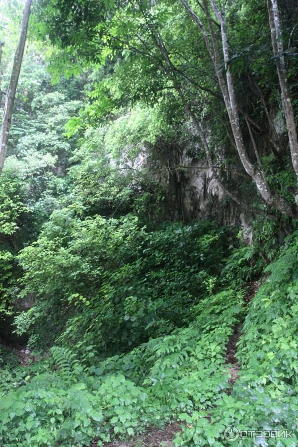 Водопад Ban Gioc (Вьетнам, Као Банг) фото