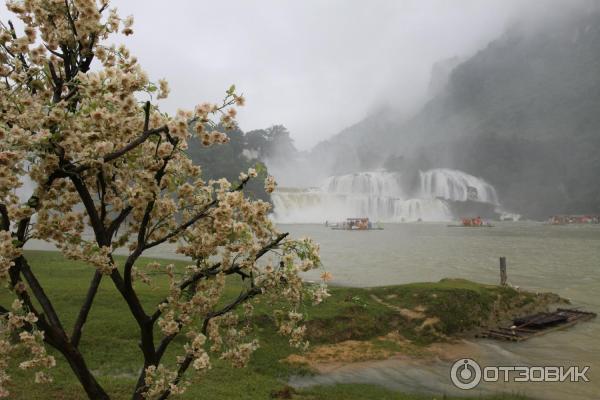 Водопад Ban Gioc (Вьетнам, Као Банг) фото