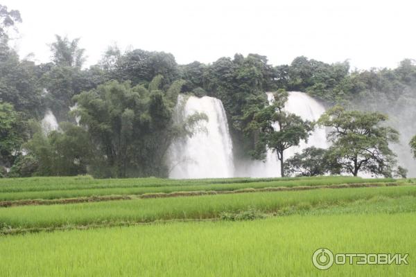 Водопад Ban Gioc (Вьетнам, Као Банг) фото