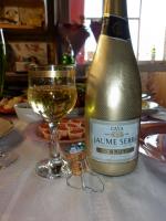 Вино игристое белое брют Cava Jaume Serra фото