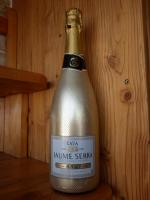Вино игристое белое брют Cava Jaume Serra фото