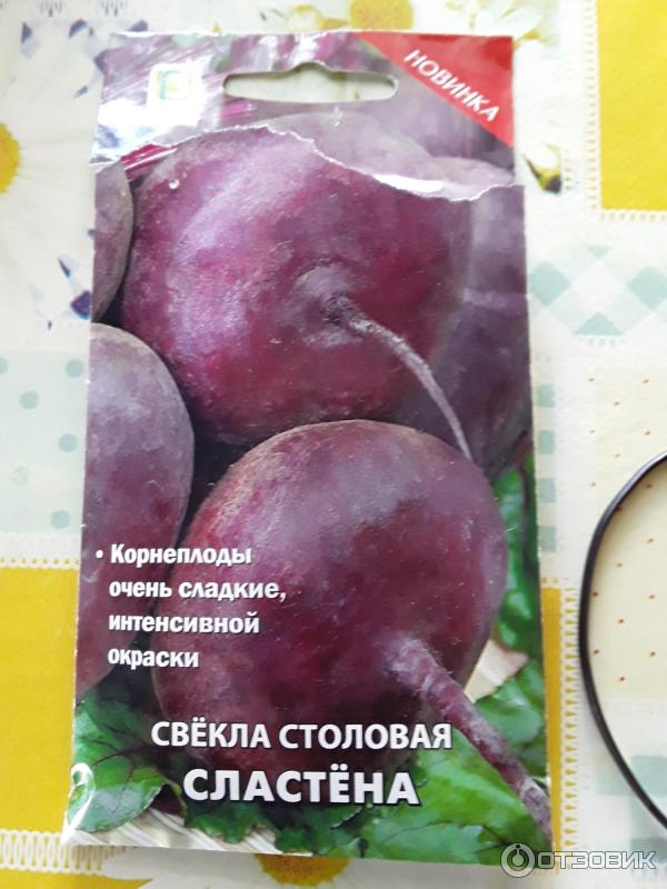 Свекла Славянка Описание Сорта Фото