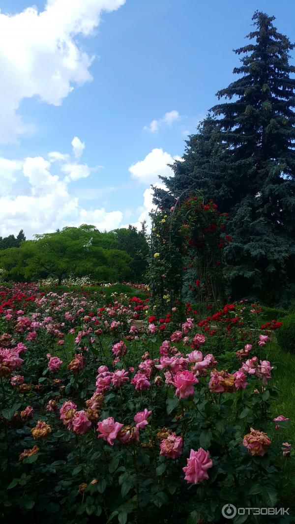 Ботанический сад Тирасполь. Молдавия Ботанический сад.