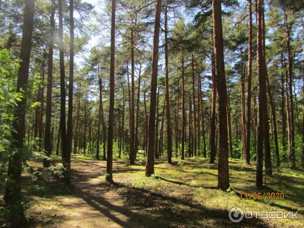 Экскурсия по г. Сестрорецк (Россия, Санкт-Петербург) фото