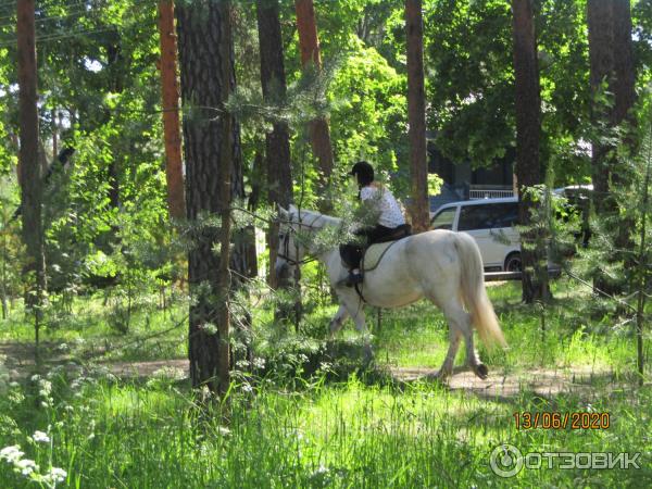 Экскурсия по г. Сестрорецк (Россия, Санкт-Петербург) фото