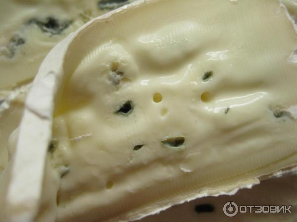 Сыр с плесенью Баварский Coburger Bayerischer Weichkase Blauschimmel отзыв фото