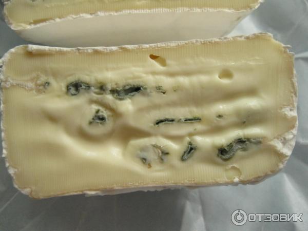 Сыр с плесенью Баварский Coburger Bayerischer Weichkase Blauschimmel отзыв фото