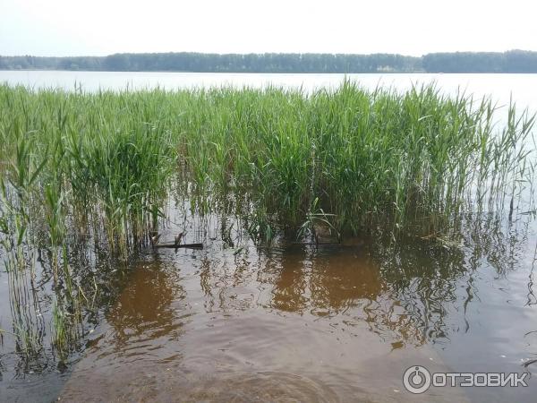 Икшинское водохранилище (Россия, Московская область) фото
