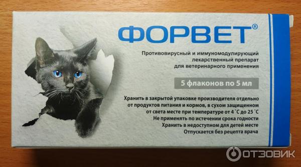 Противовирусные для кошек препараты