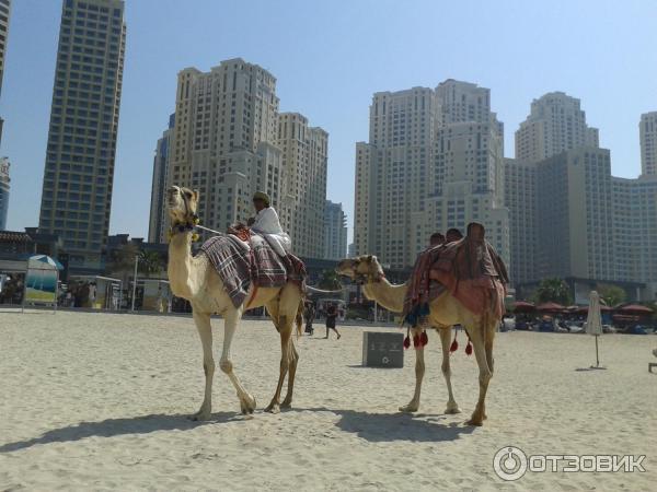 Пляж Jumeirah Beach Residence (ОАЭ, Дубай) фото