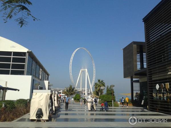 Пляж Jumeirah Beach Residence (ОАЭ, Дубай) фото