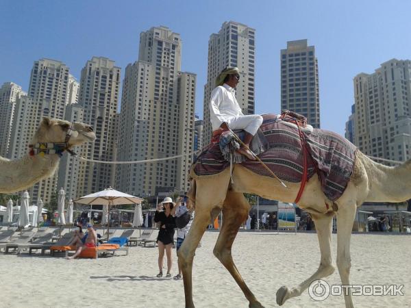 Пляж Jumeirah Beach Residence (ОАЭ, Дубай) фото