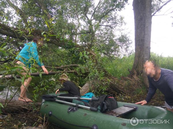 Перенос через упавшее дерево