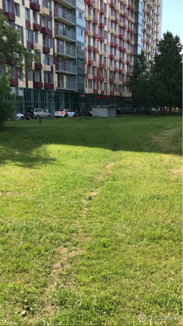 Алми ботаническая ул 33в стр 1 фото