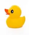 Kirguduck