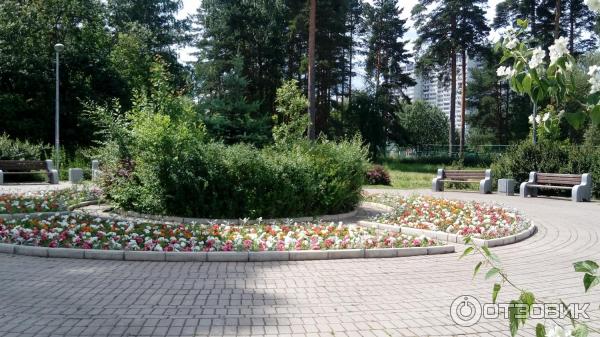 Пляж Школьное озеро (Россия, Зеленоград) фото