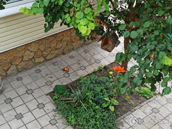 Гостевой дом Радуга-Джемете (Россия, Джемете) фото