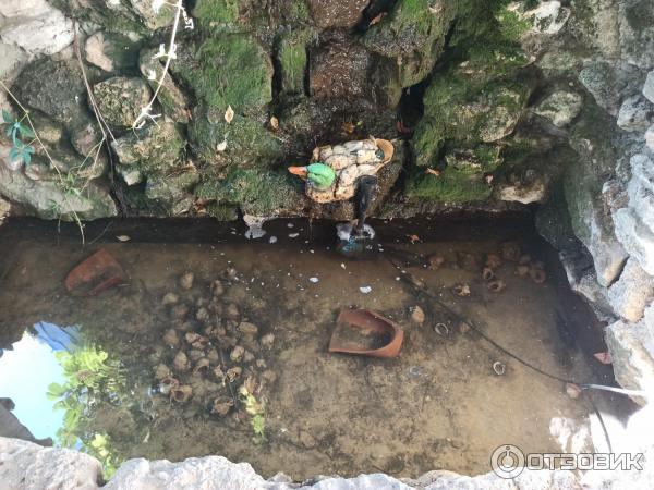 Гостевой дом Радуга-Джемете (Россия, Джемете) фото