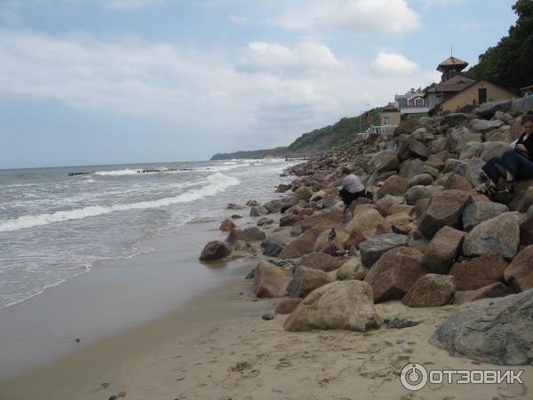 Отдых в г. Светлогорск (Россия, Калининградская область) фото