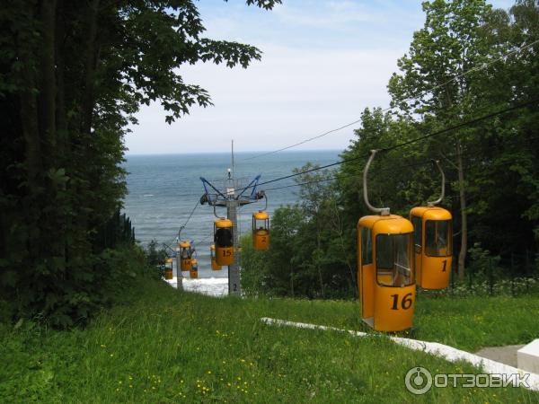 Отдых в г. Светлогорск (Россия, Калининградская область) фото