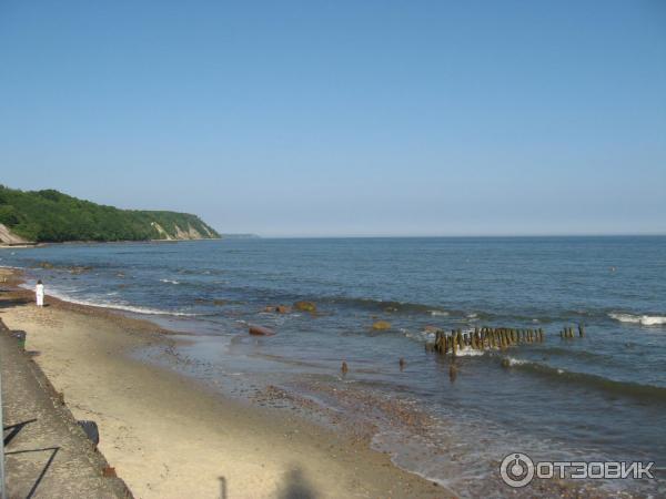 Отдых в г. Светлогорск (Россия, Калининградская область) фото