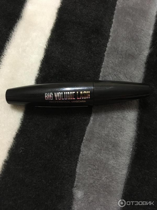 Тушь для ресниц Eveline Cosmetics Big Volume Lash Professional Mascara фото