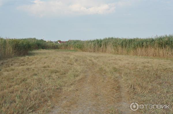 Отдых в станице Должанская (Россия, ст. Должанская) фото