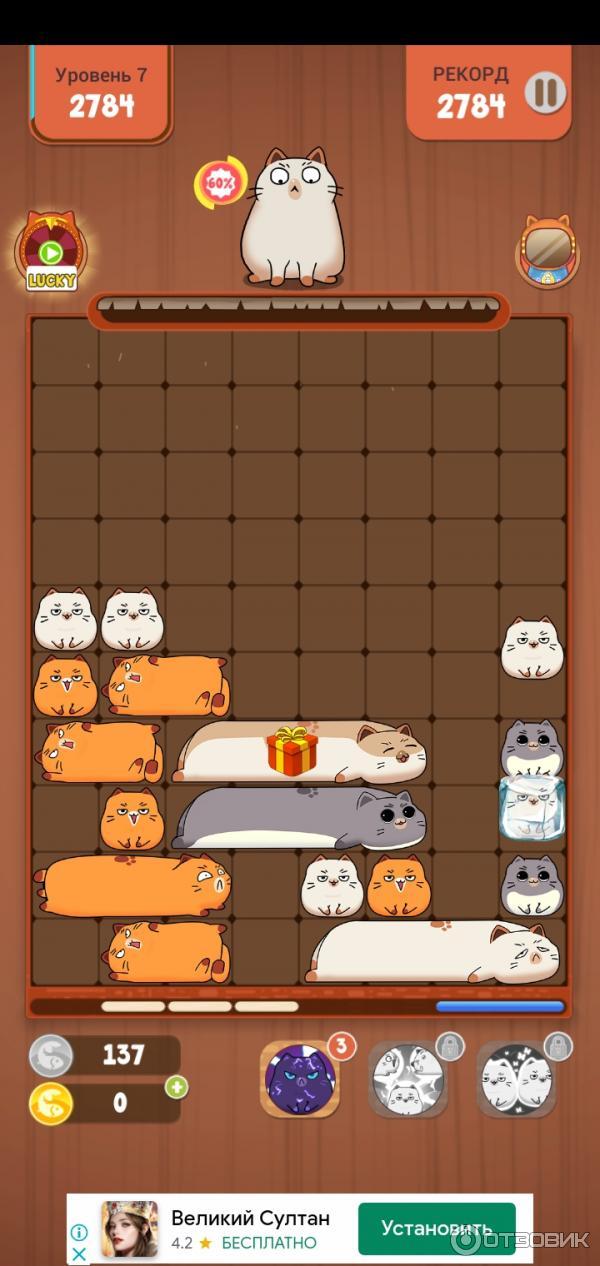 Slidey block best sale puzzle cats