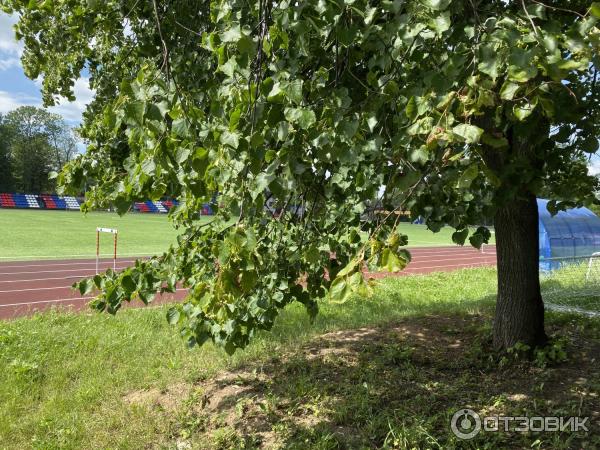 Город Пересвет (Россия, Московская область) фото