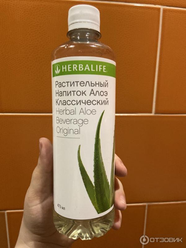 БАД Herbalife Концентрат Алоэ Вера фото