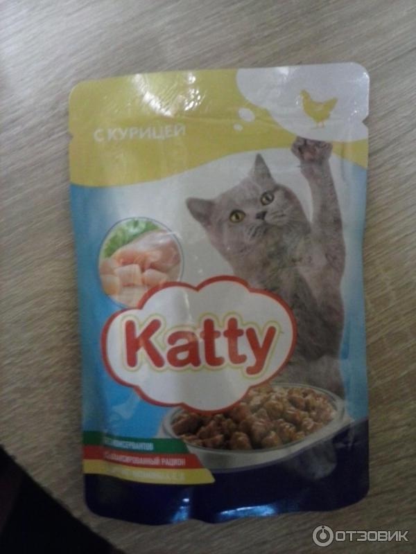 Влажный Корм Для Кошек Katty Купить