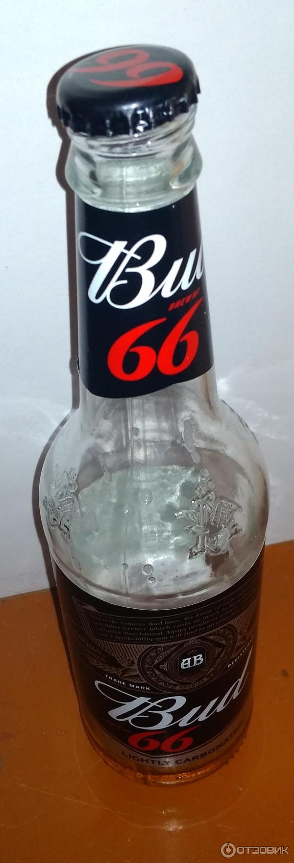 Пиво Бад 66 Купить В Москве