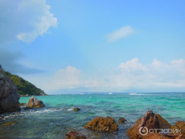 Пляж Monkey Beach (Таиланд, Ко Лан) фото