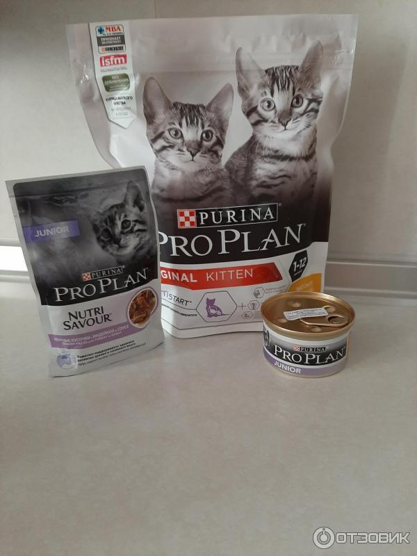 Корм для котят Purina Pro Plan фото