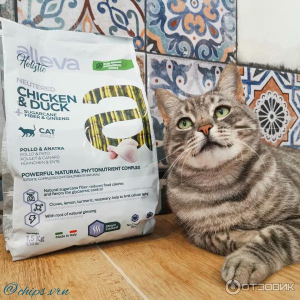 Корма Alleva Для Котят Купить