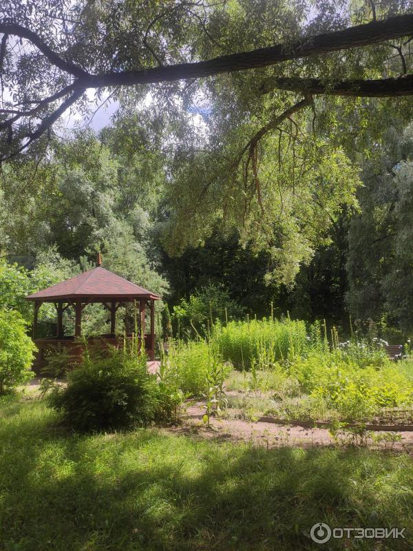 Парк отдыха ветеран. Парк ветеранов москва. Парк отдыха ветеран. Парк вагоноремонт дмитровский. Парк ветеранов имени киквидзе.