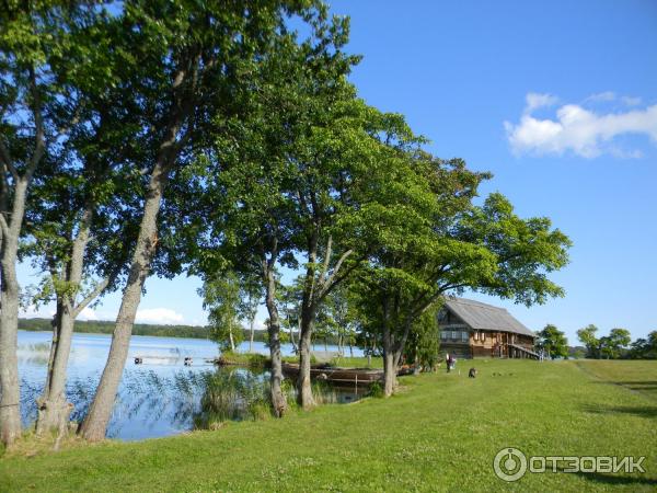 Экскурсия на о. Кижи (Россия, Карелия) фото