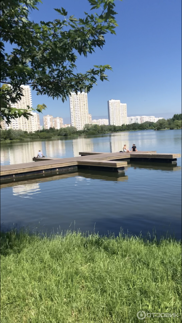 Черневский пруд в южном бутово