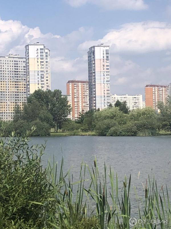 Черневский пруд в южном бутово. Парк Южное Бутово Черневский пруд. Чечерский пруд в Южном Бутово. Южное Бутово озеро. Озеро в Бутово.