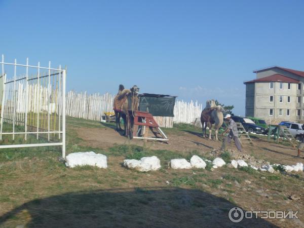 Летний отдых на горе Ай-Петри