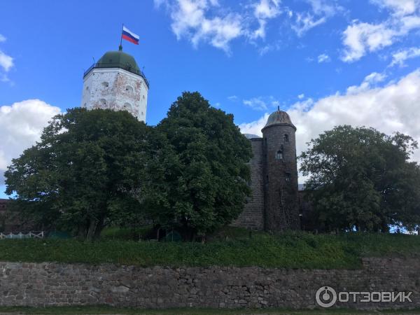 Экскурсия на башню Святого Олафа (Россия, Выборг) фото