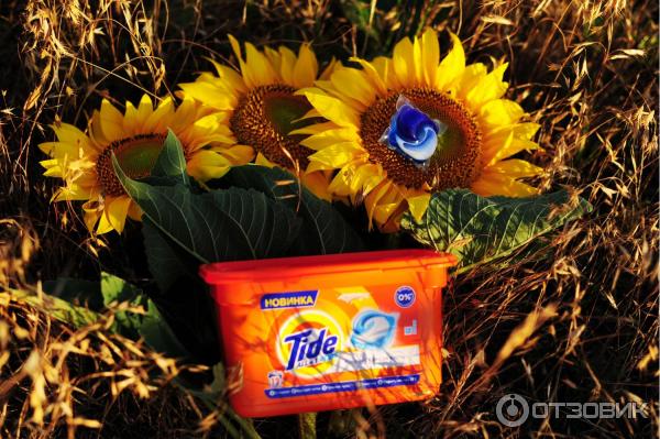 Капсулы для стирки Tide All in 1 Pods Альпийская свежесть фото