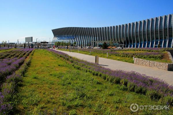 Международный аэропорт Симферополь (Крым) фото