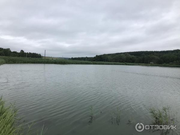 Рыбалка заря нижегородская. Рыбхоз Заря Нижегородская область Суроватиха.