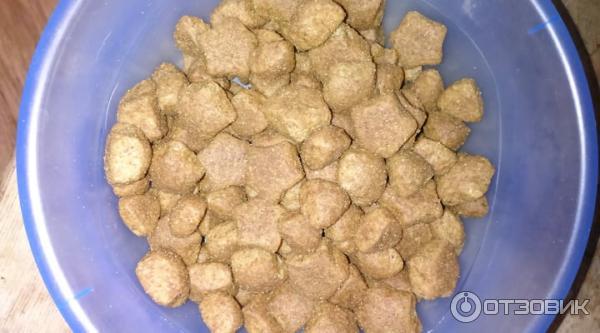 Корм для взрослых собак Dog Chow Adult фото